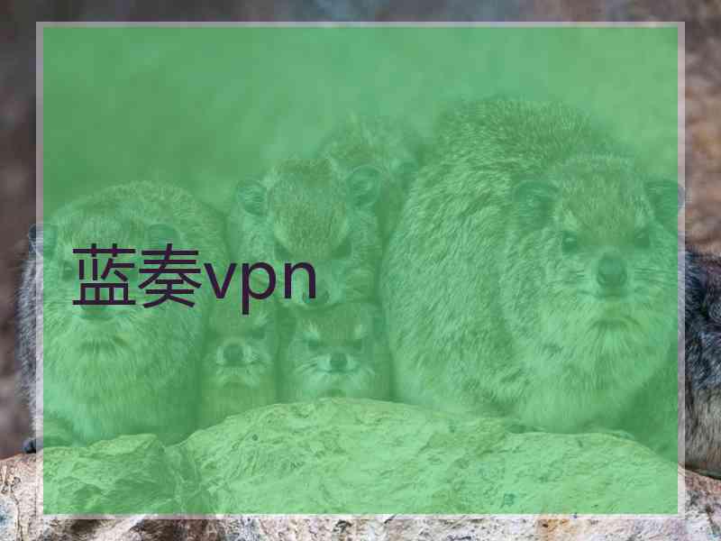 蓝奏vpn