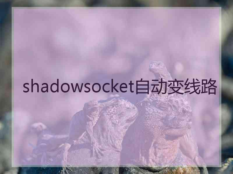 shadowsocket自动变线路