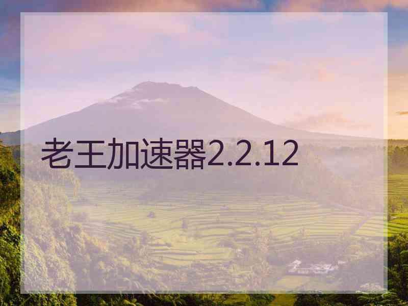 老王加速器2.2.12