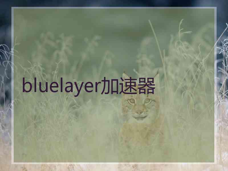 bluelayer加速器