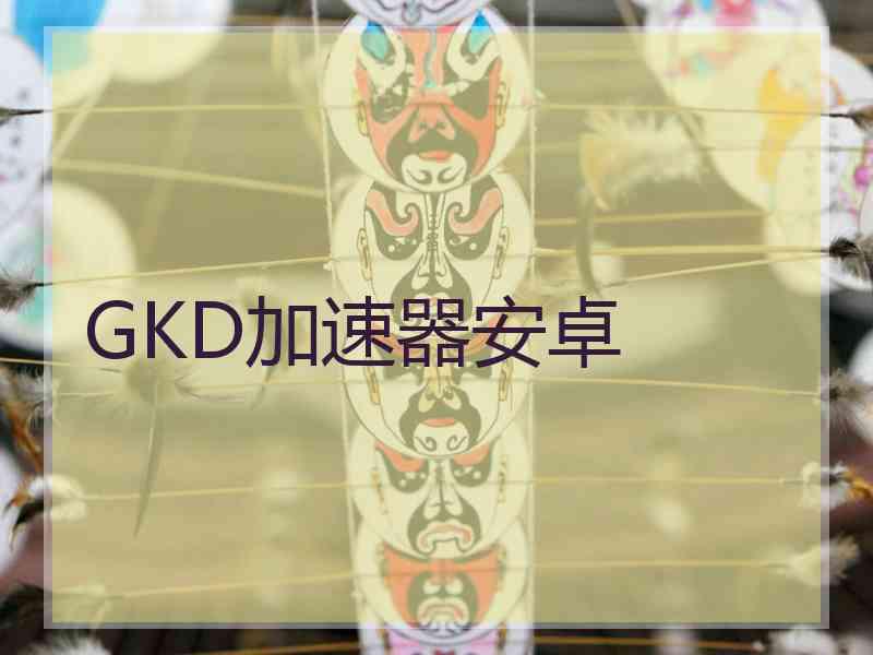 GKD加速器安卓