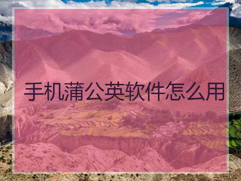 手机蒲公英软件怎么用