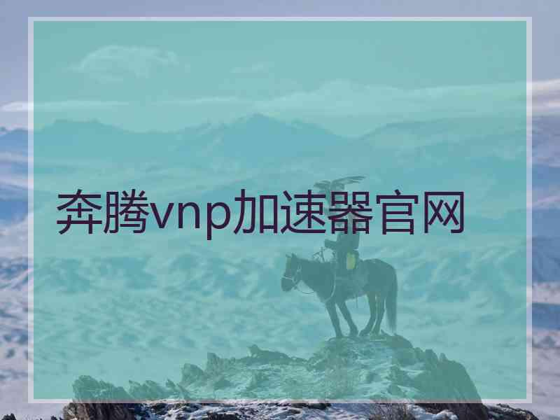 奔腾vnp加速器官网