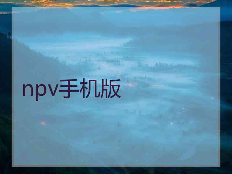 npv手机版